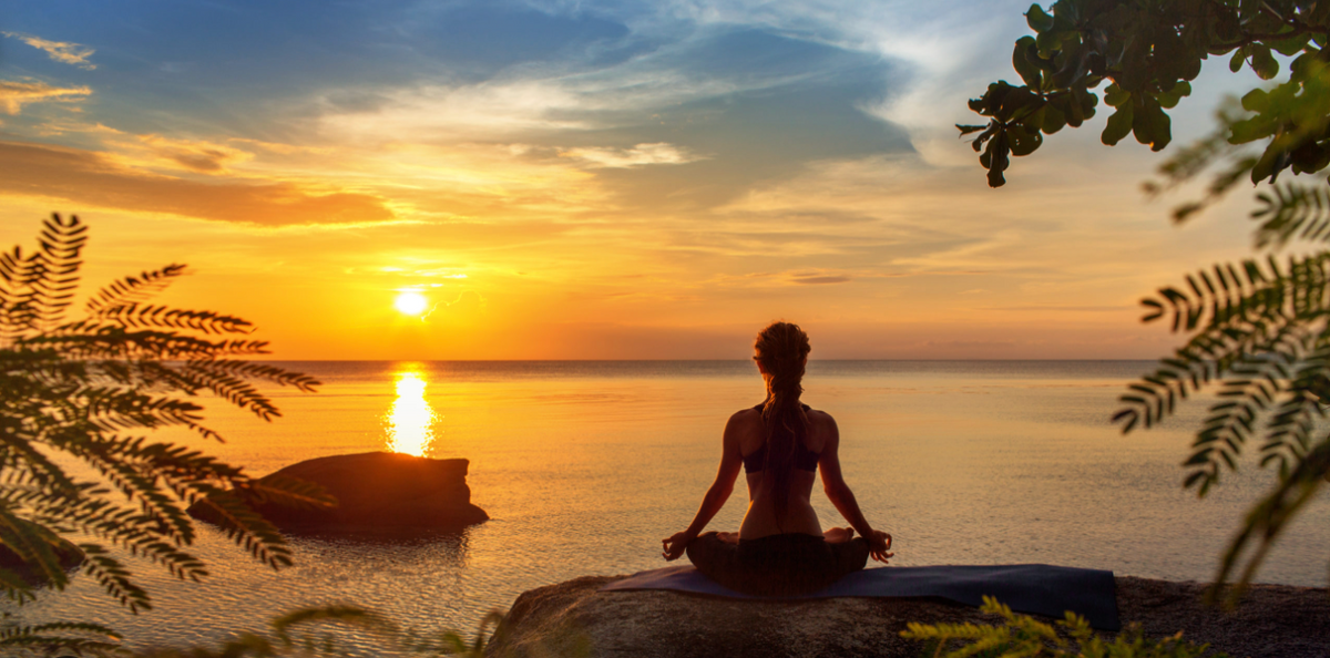 NEW ZenLeaf Series of Dry Herb Vaporizers by Cannabis Hardware