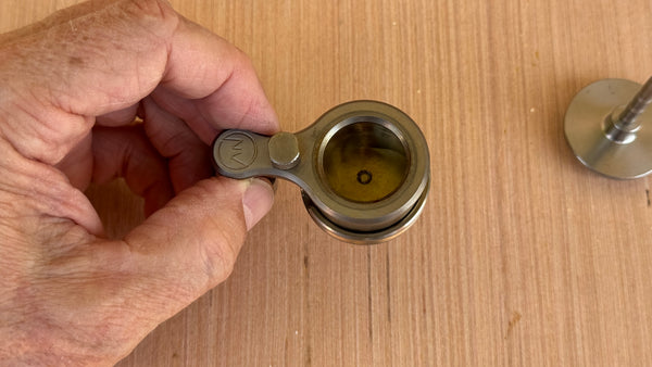Auction Lot 49 (D-Cup)